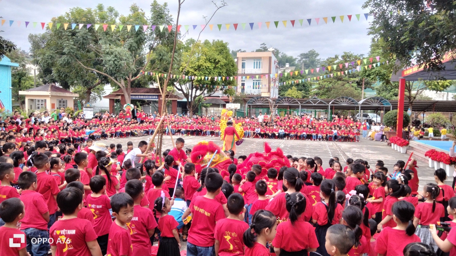 z4736432102472 f5c16a042a5ce86174edb21d05bf3427